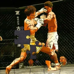 MMA 斗士拼图