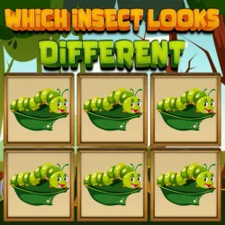 welk insect ziet er anders uit