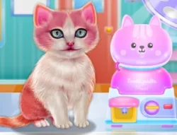 Kitty 牙科護理