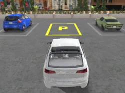 真正的停車場