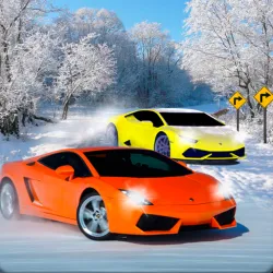 雪地賽道賽車 3D