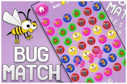 Bug Match for kids Education