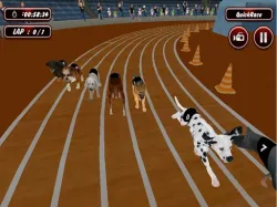 echte hondenrace-simulator spel 2020