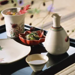 Japanse Voedsel Glijbaan
