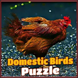 huisdieren vogels puzzel