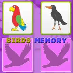 兒童記憶與鳥類