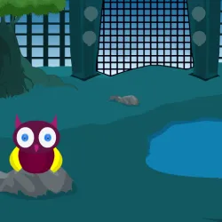 野生動物園逃生