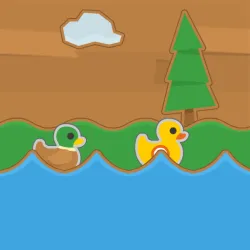 더 댁