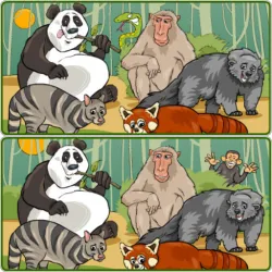 野生动物园的五个不同之处