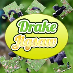 德雷克拼圖