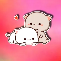 貓肚摩擦