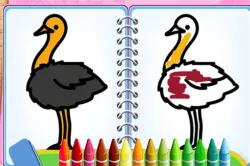 著色鳥類游戲