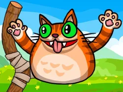 Angry Cat Shot