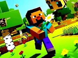 Minecraft 隱藏的星星