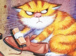 有趣的猫幻灯片