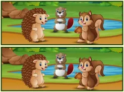 Spot The Differences Forests