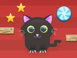 為貓剪