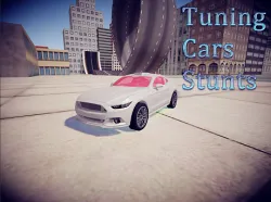 차 tuning 스턴트