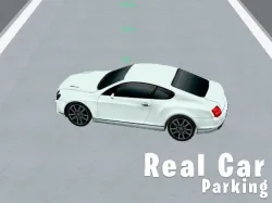 真實汽車停車3D