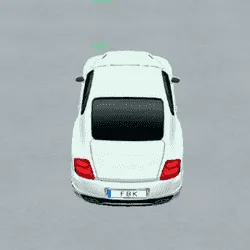 echte auto parkeren 3d
