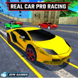 echte auto pro racen