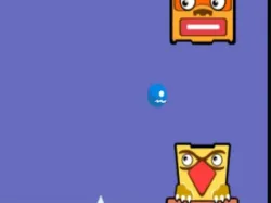 撞鳥