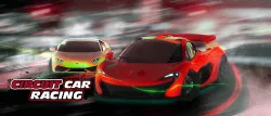 Circuit Car Racing
