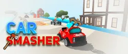 auto verwoester!