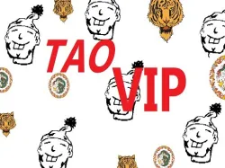 TaoVip 翻譯為「淘寶VIP」。