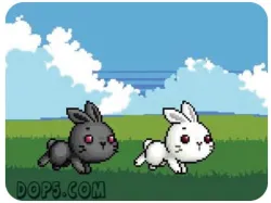 Bu Bunny Hai Thỏ