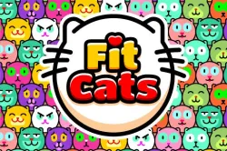 健康的猫