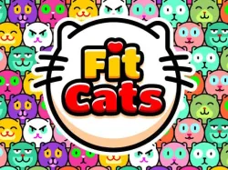 フィットキャッツ