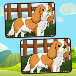 Honden Zoek De Verschillen