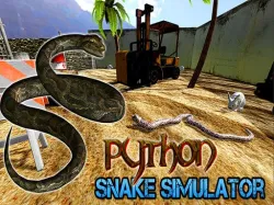 mô phỏng rắn python