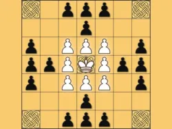 Tafl: viking chess