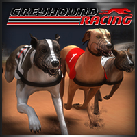 Greyhound Racing - 賽狗