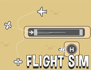 Flight Sim - 飛行模擬