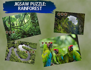 Jigsaw Puzzle Rain Forest - 拼圖 雨林