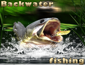 Backwater Fishing - 回水垂釣