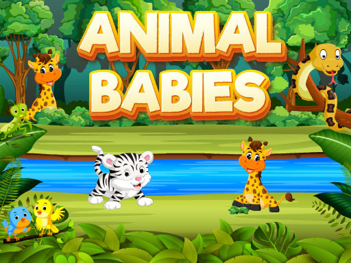 Animal Babies - 動物寶寶