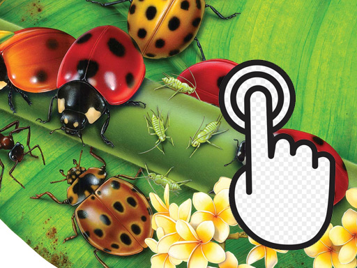 Ladybug Clicker - 瓢蟲唱首歌