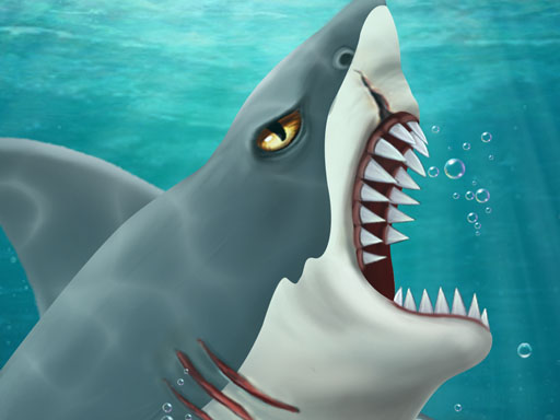 Shark Attack-Casual - Shark Attack-Casual