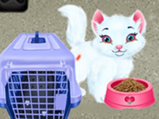 Baby Taylor Pet Care - Save Cute Animals - Baby Taylor Pet Care - Save Cute Animals