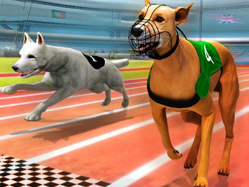 Dogs3D Races - Dogs3D Races
