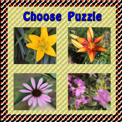 Choose Puzzle - Choose Puzzle